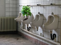 Die Zukunft der PR liegt in der Natur der Sache