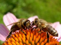 Liebe, Sex und Content Marketing