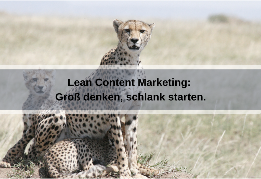 Grundlagen von Lean Content Marketing - groß denken, schlank starten (carolehenderson / pixabay)